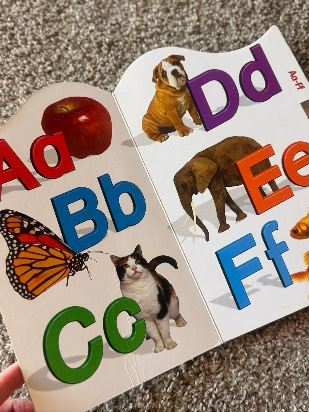 Set of 2-Classic Fairytale Collection & ABC's Board Books - Multicolor